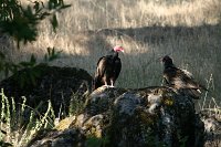 4th of July Camping Trip 2012